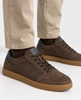 Chocolate Brown